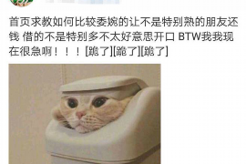 共青城讨债公司